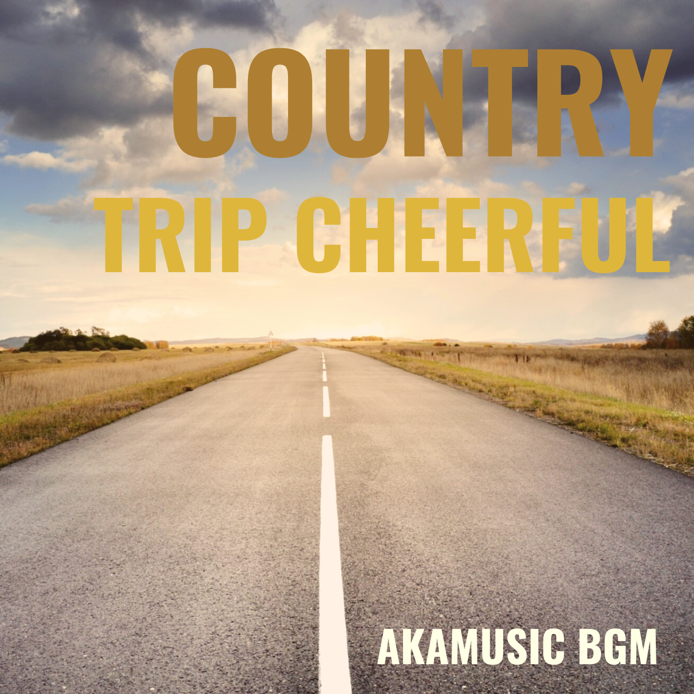 COUNTRY TRIP CHEERFUL cover